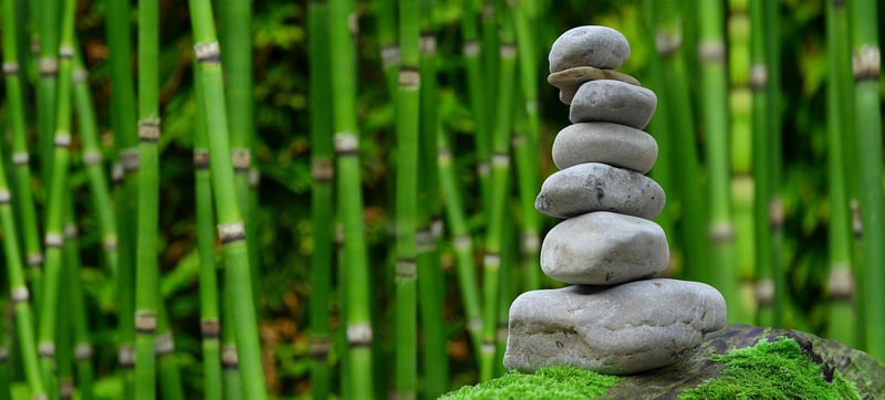 Zen Gardens
